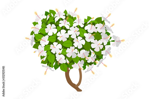 vector hand drawn plant clipart