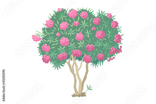 vector hand drawn plant clipart
