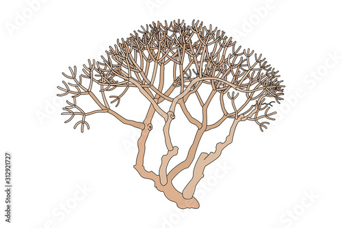 vector hand drawn plant clip art
