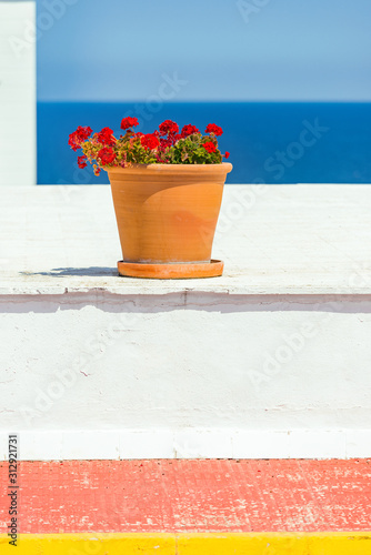 Mediterranean sea view over a wall with geranium pot photo