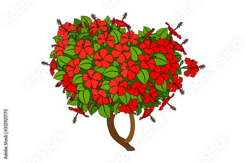 vector hand drawn plant clipart