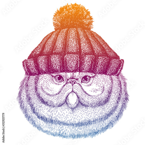 Cat. Ski, skier animal wearing woolen knitted hat. Christmas time. Cartoon character for little children. Kids print for tee