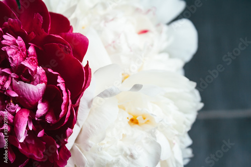 Closeup view of a bouquet of lush white and pink peonies against a gray blurred background in a pleasant tint. Beautiful delicate flowers as a gift for the holiday. Top view © MariiaDemchenko