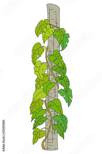 vector hand drawn plant clipart