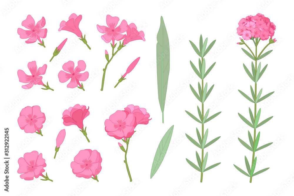 Fototapeta premium vector hand drawn plant clipart