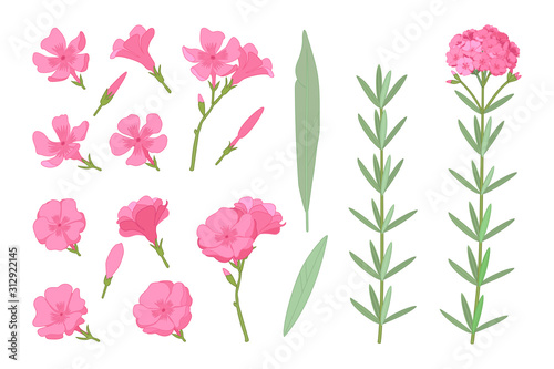 vector hand drawn plant clipart