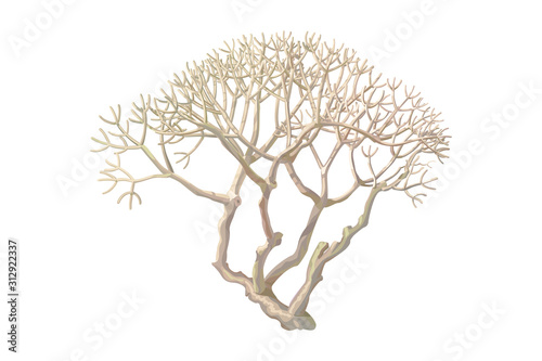 vector hand drawn plant clip art