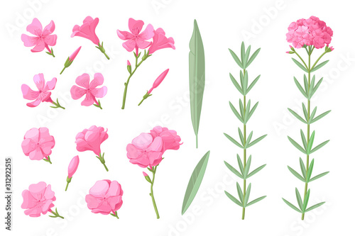 vector hand drawn plant clipart