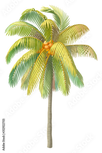 vector hand drawn plant clipart
