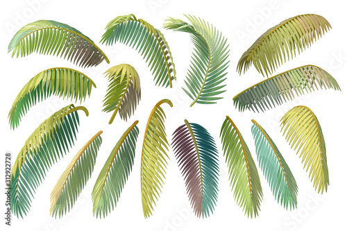 vector hand drawn plant clipart