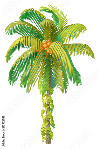 vector hand drawn plant clipart