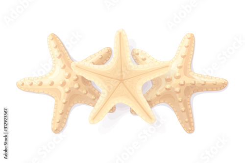 vector tropical pattern clip art