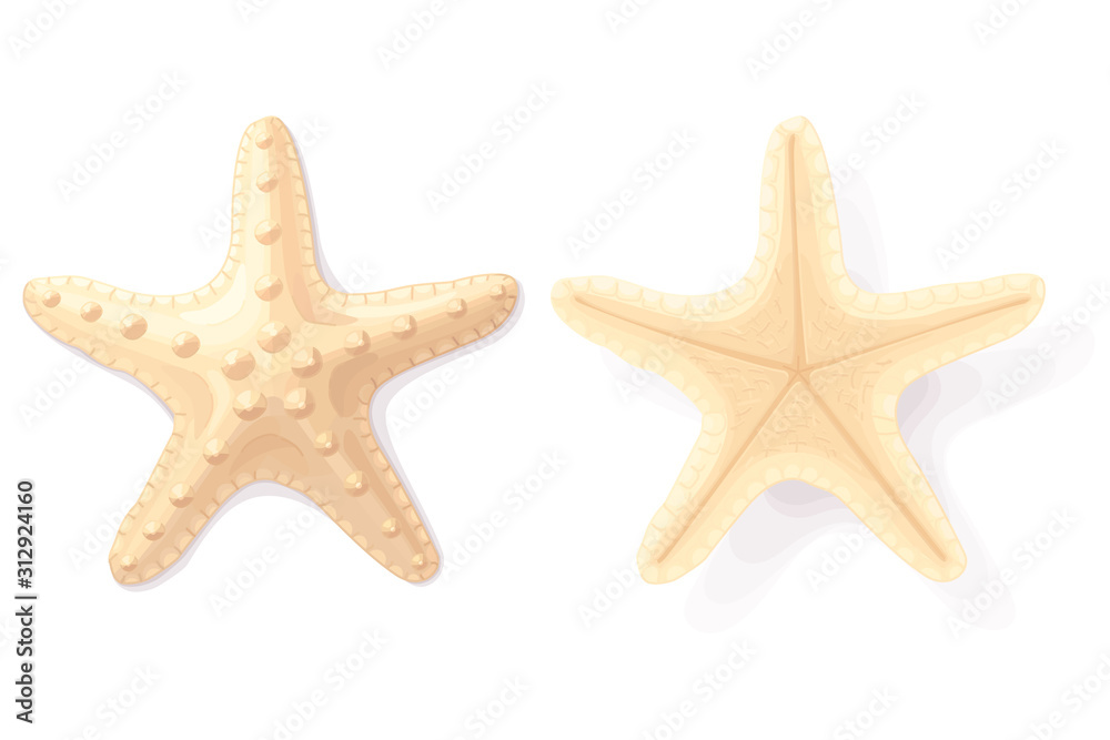 vector sea beach object clipart vector sea beach object clipart