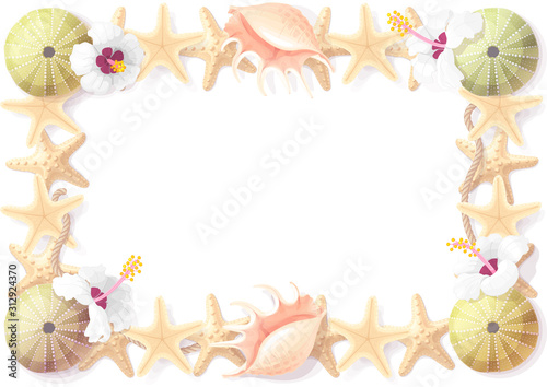 vector tropical seashell frame clipart