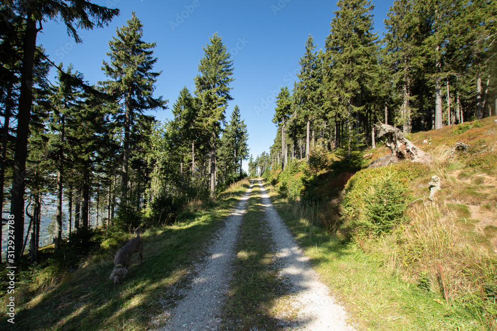 Walk way in mountains, Krkonose