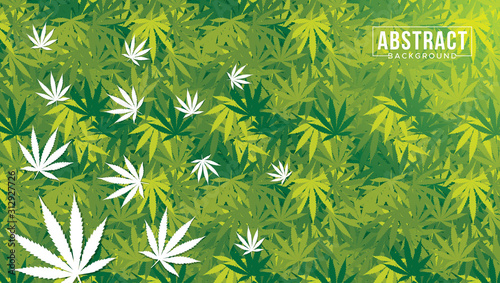 Marijuana leaf vector seamless pattern. Cannabis engraving plant. Marijuana or Cannabis Leaf background. 