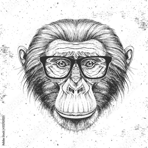 Hipster animal monkey. Hand drawing Muzzle of chimpanzee