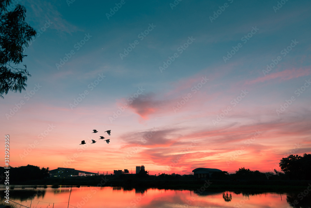 Fototapeta premium beautiful landscape sky and clound sunset,sky background