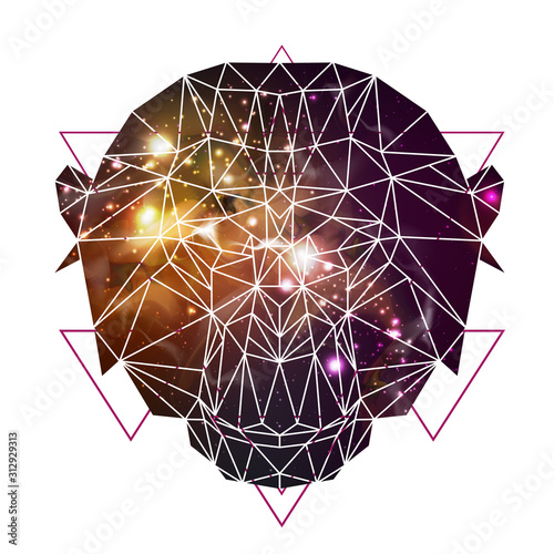 Abstract polygonal tirangle animal monkey with open space background. Hipster animal illustration. photo