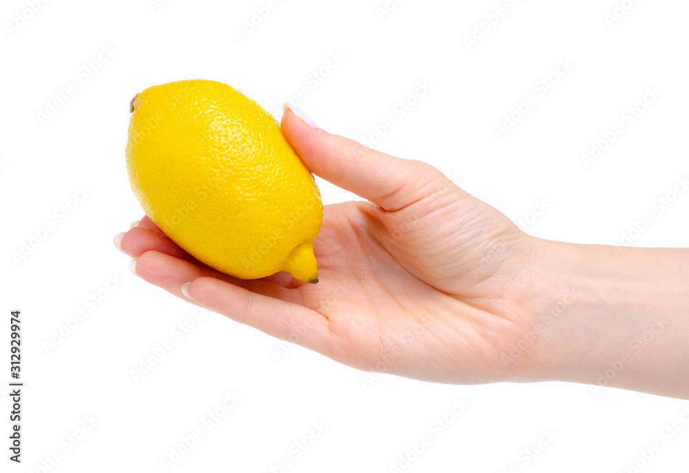 Lemon fresh fruit in hand on white background isolation Lemon fresh fruit in hand on white background isolation