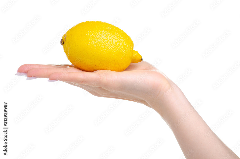 Lemon fresh fruit in hand on white background isolation Lemon fresh fruit in hand on white background isolation