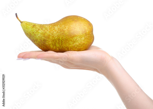 pear organic fruit in hand on white background isolation