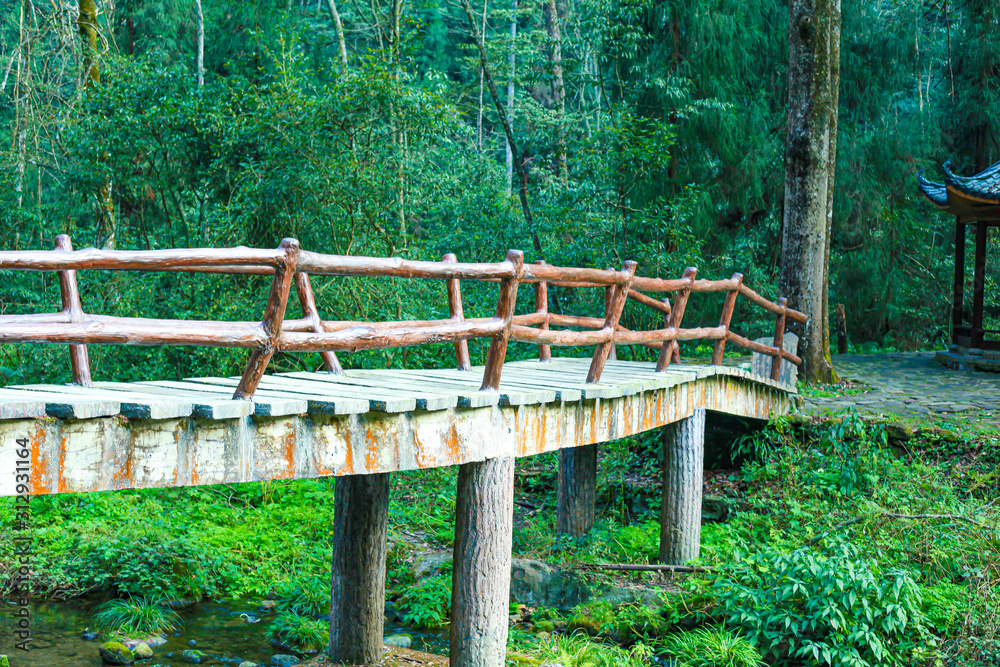 stone bridge in forest, chinese bridge, stone 