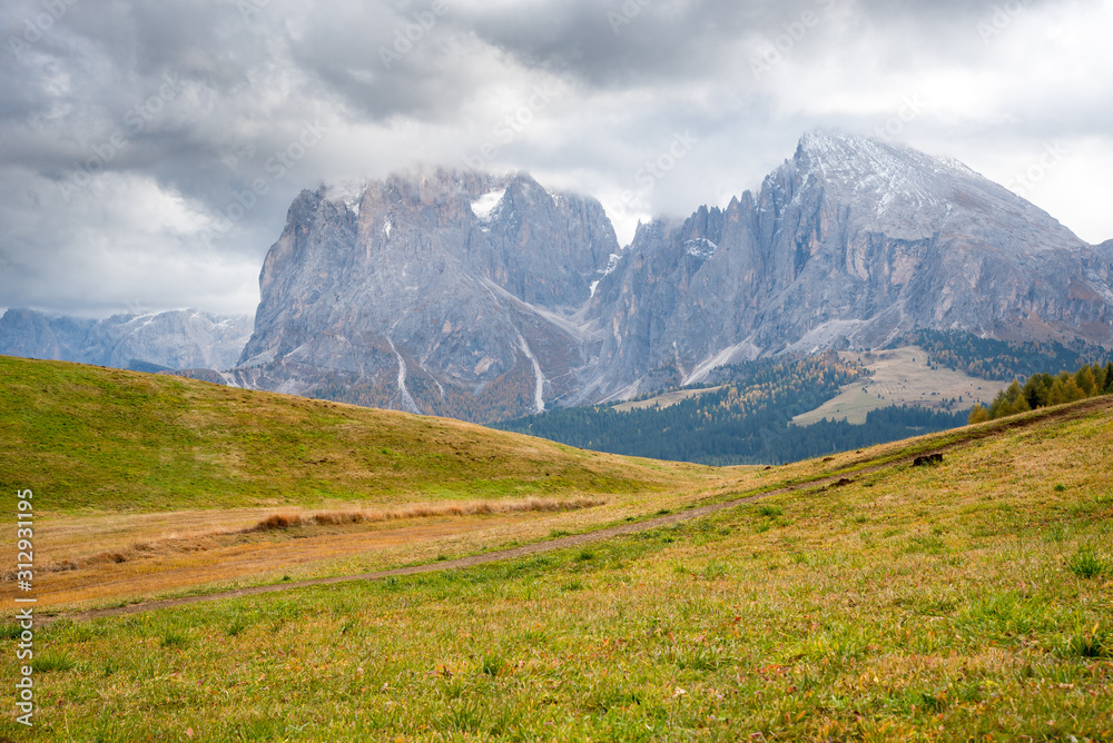 Landscape with Dolomite rocky peaks at the valley of  Alpe di siusi Seiser Alm in Italy.