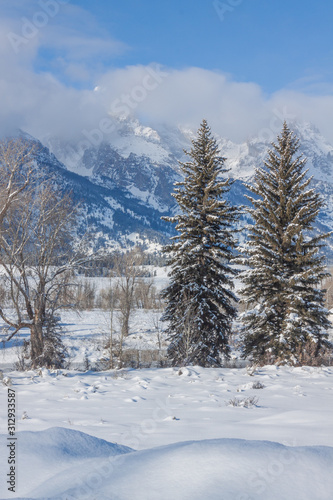 Scenic Teton Winter Landscape
