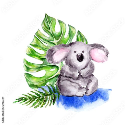 Photography Hand-drawn watercolor cute little koala and green tropical leaves on a white iso