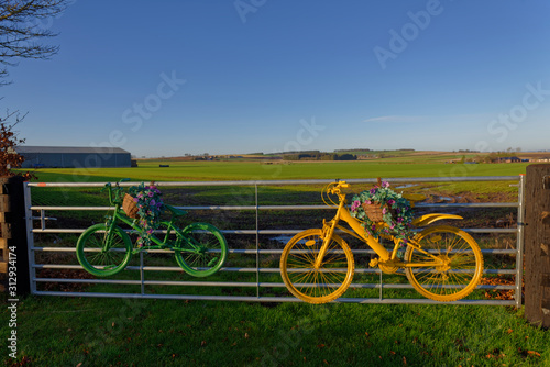2 yellow and green bicycles mounted on a Farms Field gate, with baskets of flowers at a location in Angus on a bright sunny day. photo