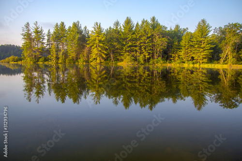 Forest Lake Reflections. Beautiful wilderness forest reflected in the calm water of a northern Michigan lake