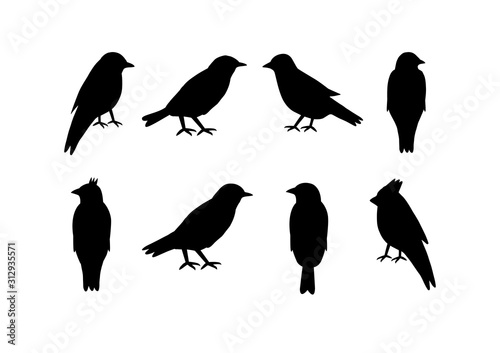 Set of silhouettes of birds on white background