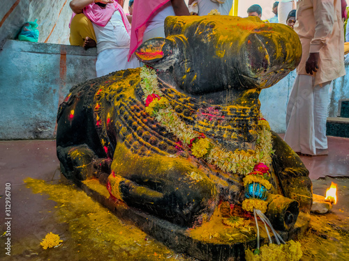 Picture of sacred bull calf vehicle of the hindu god shiva
