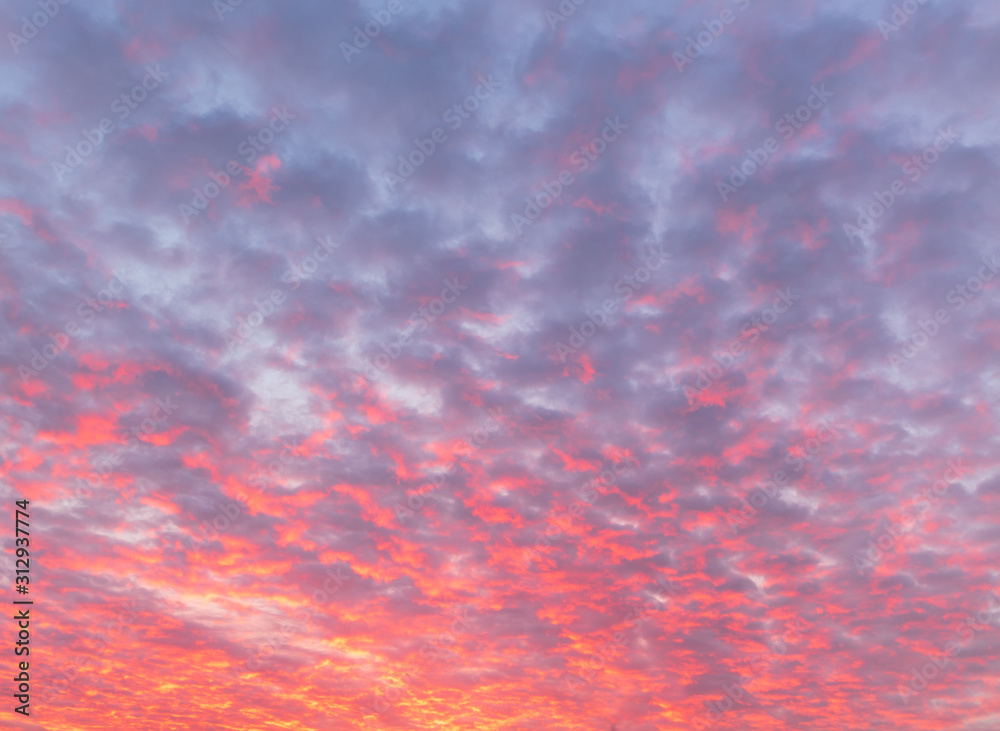 Beautiful clouds at dawn as a background Beautiful clouds at dawn as a background