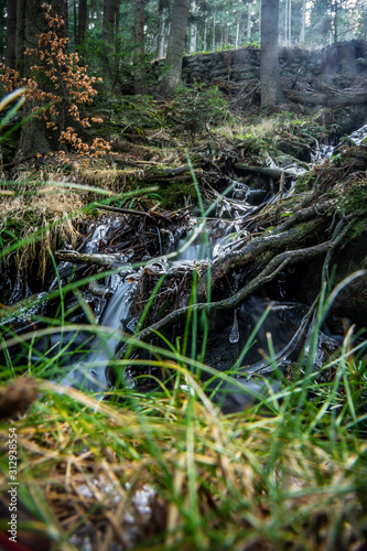 The Bohemian Forest, known in Czech as Sumava, is a low mountain range in Central Europe. They create a natural border between the Czech Republic on one side and Germany and Austria on the other.