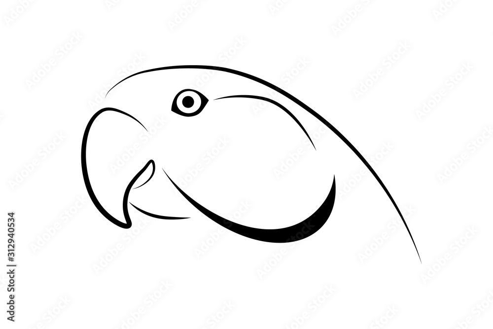 Fototapeta premium Parrot head simple design. Black linear sketch on white background. Vector illustration