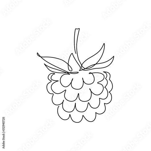 Raspberry fruit in continuous line art drawing style. Minimalist black linear sketch on white background. Vector illustration