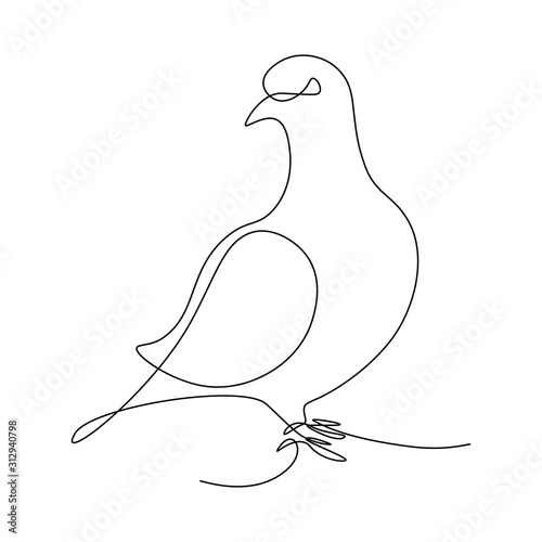 Pigeon in continuous line art drawing style. Black linear sketch on white background. Vector illustration