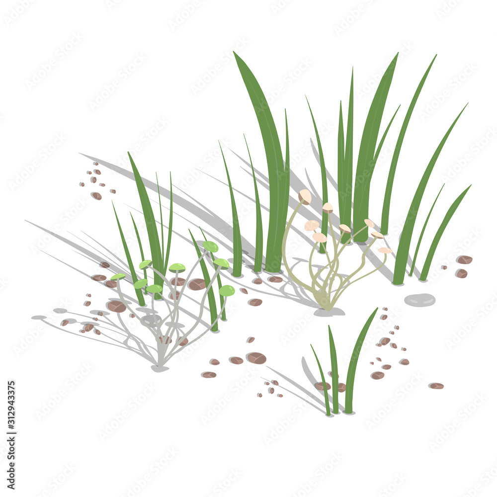 Growing climbing mushrooms with grass and stones on a white background. Vector illustration.