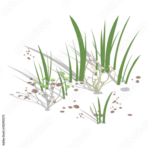 Growing climbing mushrooms with grass and stones on a white background. Vector illustration.