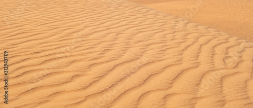 Beautiful desert with yellow sand. Nature texture.