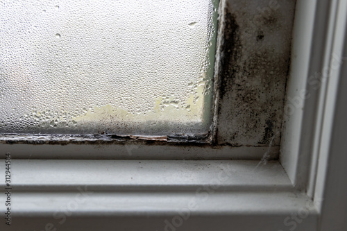 Mold fungus and moist in right corner of window frame and on glass