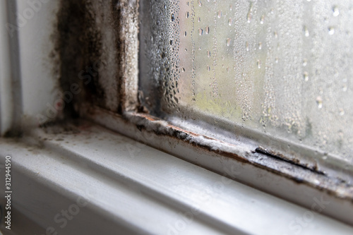 Mold fungus and moist in left corner of window frame and on glass 