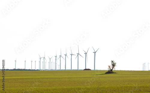 wind farm on a green field