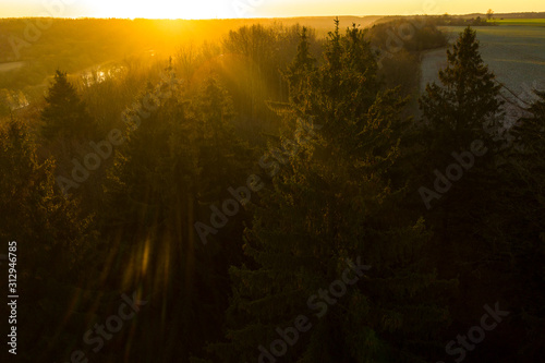 Aerial: sunrise above the spruce forest