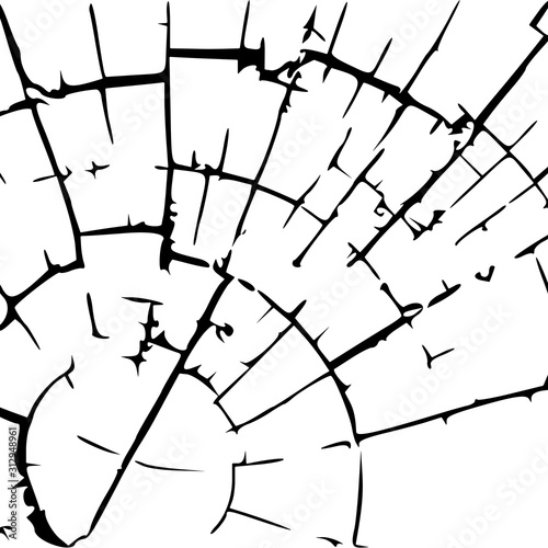 cut tree trunk abstract ske...