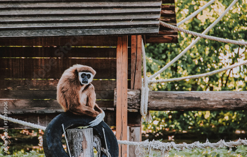 The sadness in the eyes