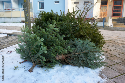 christmas tree end of life garbage