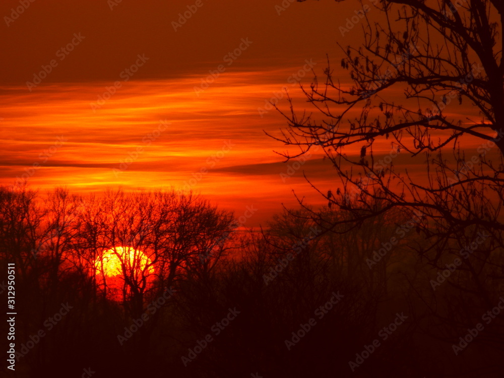 Sonnenuntergang im Geäst an der Amper 